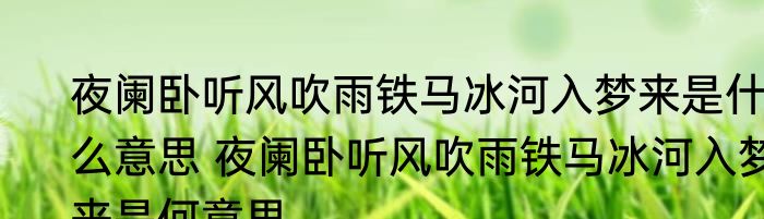 夜阑卧听风吹雨铁马冰河入梦来是什么意思 夜阑卧听风吹雨铁马冰河入梦来是何意思