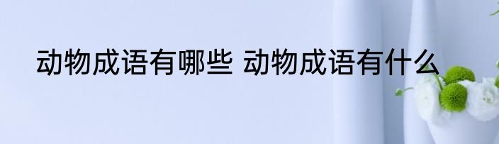 动物成语有哪些 动物成语有什么