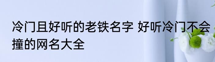 冷门且好听的老铁名字 好听冷门不会撞的网名大全