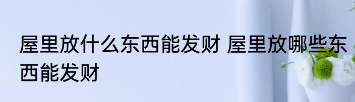 屋里放什么东西能发财 屋里放哪些东西能发财