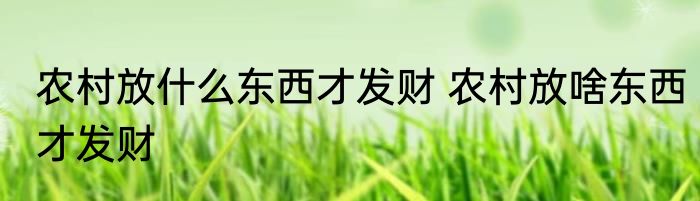 农村放什么东西才发财 农村放啥东西才发财