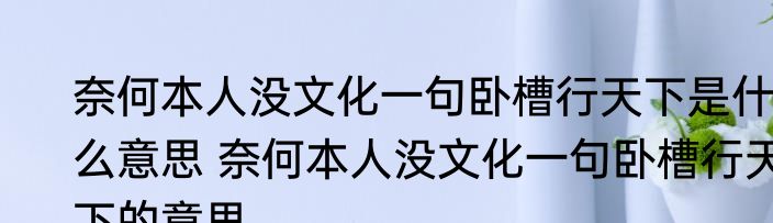 奈何本人没文化一句卧槽行天下是什么意思 奈何本人没文化一句卧槽行天下的意思