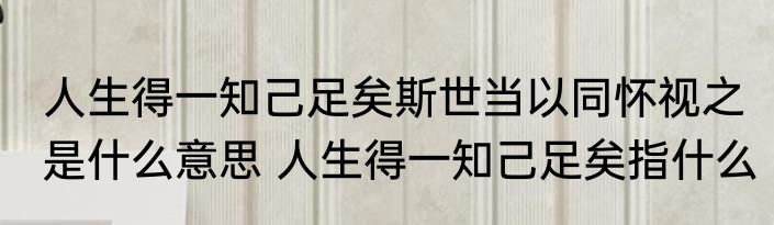 人生得一知己足矣斯世当以同怀视之是什么意思 人生得一知己足矣指什么