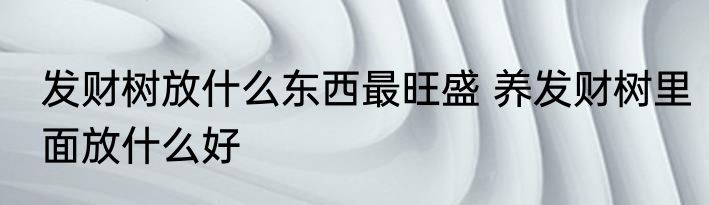 发财树放什么东西最旺盛 养发财树里面放什么好