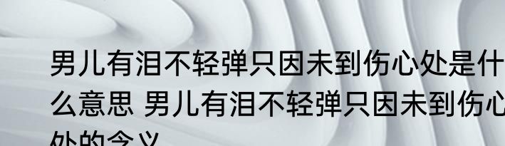 男儿有泪不轻弹只因未到伤心处是什么意思 男儿有泪不轻弹只因未到伤心处的含义