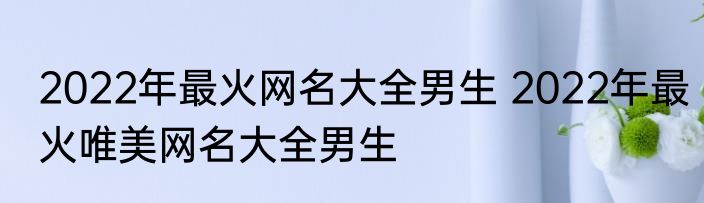 2022年最火网名大全男生 2022年最火唯美网名大全男生