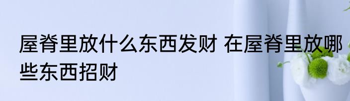 屋脊里放什么东西发财 在屋脊里放哪些东西招财