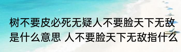 树不要皮必死无疑人不要脸天下无敌是什么意思 人不要脸天下无敌指什么