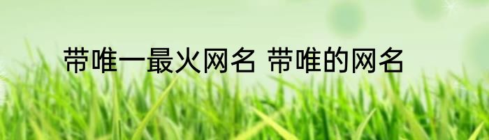 带唯一最火网名 带唯的网名