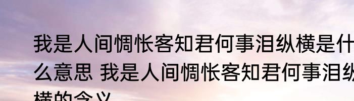 我是人间惆怅客知君何事泪纵横是什么意思 我是人间惆怅客知君何事泪纵横的含义