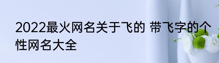 2022最火网名关于飞的 带飞字的个性网名大全