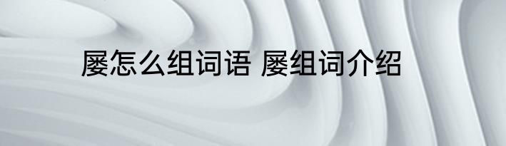 ran是什么意思 单词ran简单介绍