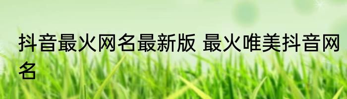 抖音最火网名最新版 最火唯美抖音网名