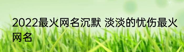 2022最火网名沉默 淡淡的忧伤最火网名