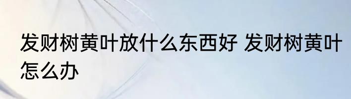 发财树黄叶放什么东西好 发财树黄叶怎么办