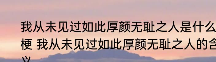 我从未见过如此厚颜无耻之人是什么梗 我从未见过如此厚颜无耻之人的含义
