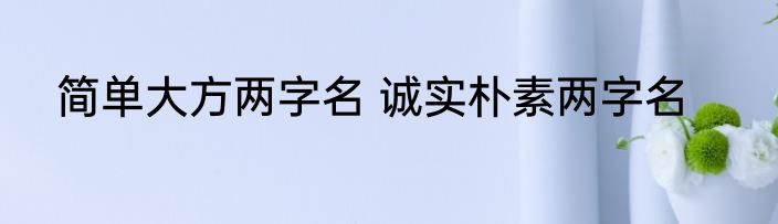 简单大方两字名 诚实朴素两字名
