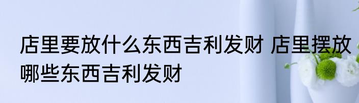 店里要放什么东西吉利发财 店里摆放哪些东西吉利发财
