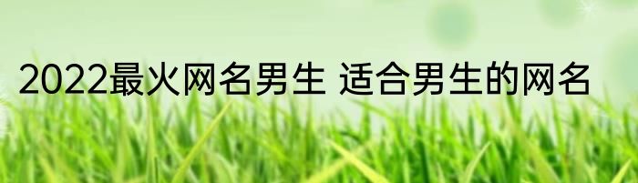2022最火网名男生 适合男生的网名