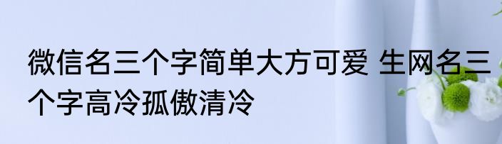 微信名三个字简单大方可爱 生网名三个字高冷孤傲清冷