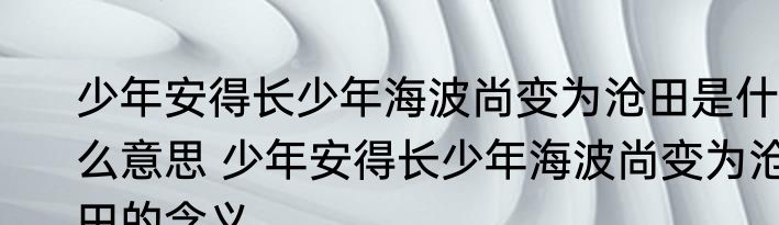 少年安得长少年海波尚变为沧田是什么意思 少年安得长少年海波尚变为沧田的含义
