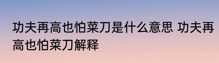 功夫再高也怕菜刀是什么意思 功夫再高也怕菜刀解释
