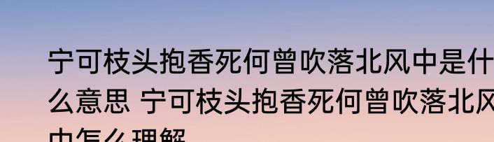 宁可枝头抱香死何曾吹落北风中是什么意思 宁可枝头抱香死何曾吹落北风中怎么理解