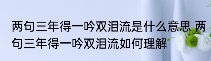 两句三年得一吟双泪流是什么意思 两句三年得一吟双泪流如何理解