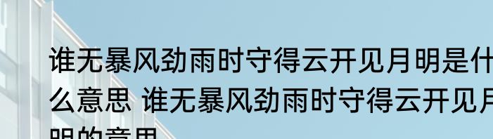 谁无暴风劲雨时守得云开见月明是什么意思 谁无暴风劲雨时守得云开见月明的意思