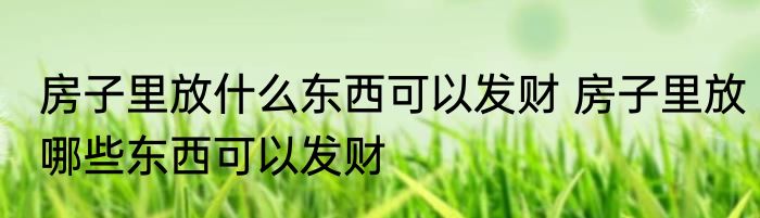 房子里放什么东西可以发财 房子里放哪些东西可以发财