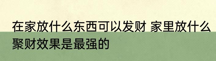 在家放什么东西可以发财 家里放什么聚财效果是最强的