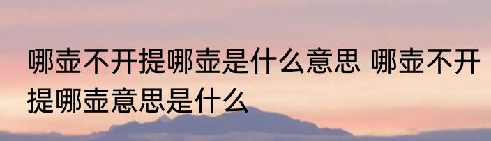 哪壶不开提哪壶是什么意思 哪壶不开提哪壶意思是什么