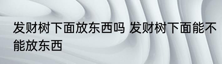 发财树下面放东西吗 发财树下面能不能放东西