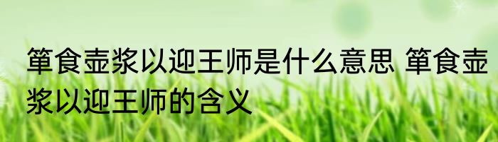 箪食壶浆以迎王师是什么意思 箪食壶浆以迎王师的含义