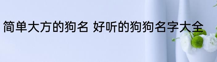 简单大方的狗名 好听的狗狗名字大全
