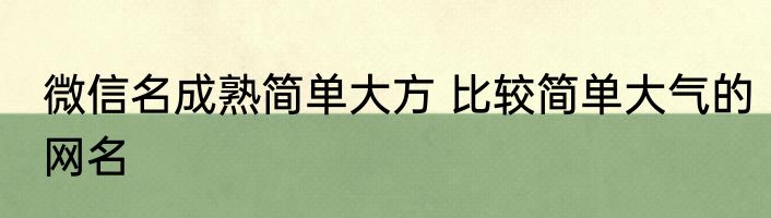微信名成熟简单大方 比较简单大气的网名