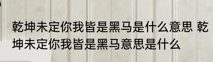 乾坤未定你我皆是黑马是什么意思 乾坤未定你我皆是黑马意思是什么
