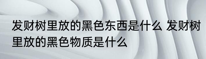 发财树里放的黑色东西是什么 发财树里放的黑色物质是什么