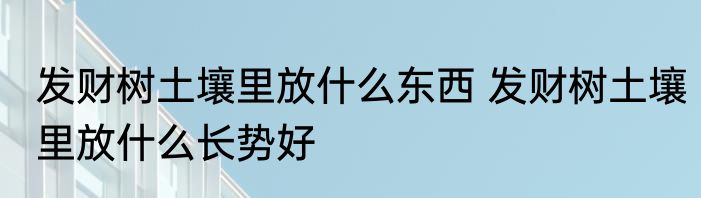 发财树土壤里放什么东西 发财树土壤里放什么长势好