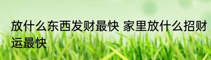 放什么东西发财最快 家里放什么招财运最快