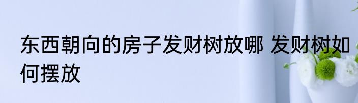东西朝向的房子发财树放哪 发财树如何摆放
