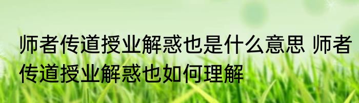 师者传道授业解惑也是什么意思 师者传道授业解惑也如何理解