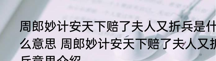 周郎妙计安天下赔了夫人又折兵是什么意思 周郎妙计安天下赔了夫人又折兵意思介绍
