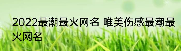 2022最潮最火网名 唯美伤感最潮最火网名