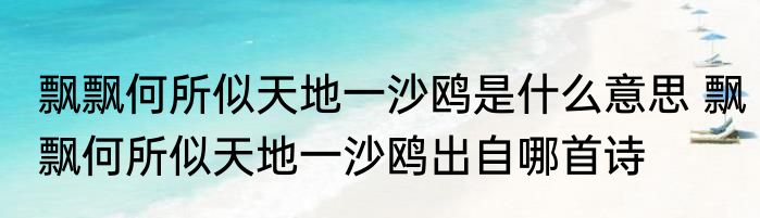 飘飘何所似天地一沙鸥是什么意思 飘飘何所似天地一沙鸥出自哪首诗