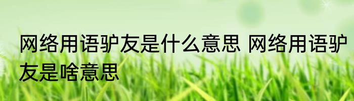 网络用语驴友是什么意思 网络用语驴友是啥意思