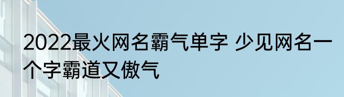 2022最火网名霸气单字 少见网名一个字霸道又傲气
