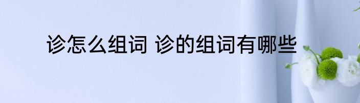 诊怎么组词 诊的组词有哪些