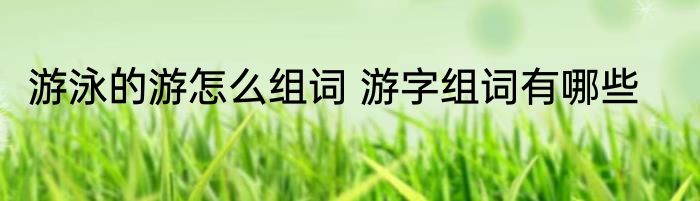游泳的游怎么组词 游字组词有哪些