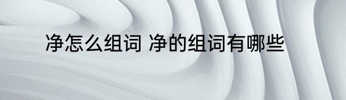 净怎么组词 净的组词有哪些